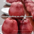 red delicious apple